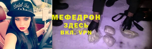 spice Богородицк