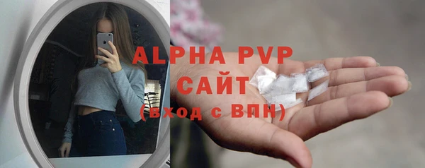 spice Богородицк