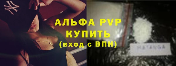spice Богородицк