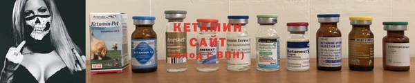 spice Богородицк