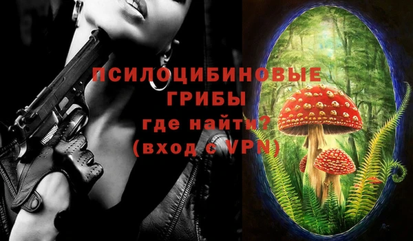 spice Богородицк